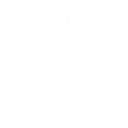 Phoenix Ability1